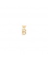 CHARM EN ALEACION DE METALES CON BAÑO DE ORO                                                        
