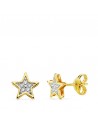18K PENDIENTES BICOLOR ESTRELLA 6.5 X 6.5 MM