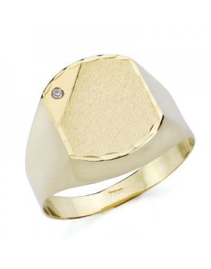 18K SELLO ORO AMARILLO CABALLERO CIRCONITA. HUECO
