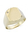 18K YELLOW GOLD SEAL FOR MEN WITH CUBIC ZIRCONIA. HOLE