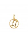 18K COLGANTE ORO AMARILLO HOROSCOPO GEMINIS CONSTELACIONES CIRCONITAS 12 MM