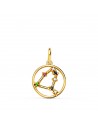 18K YELLOW GOLD PENDANT HOROSCOPE CAPRICORN CONSTELLATIONS ZIRCONS 12 MM