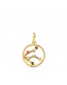 18K COLGANTE ORO AMARILLO HOROSCOPO ACUARIO CONSTELACIONES CIRCONITAS 12 MM