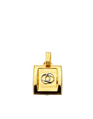 9K COLGANTE ORO AMARILLO BICOLOR SIEMPRE UNIDOS 19X15 MM