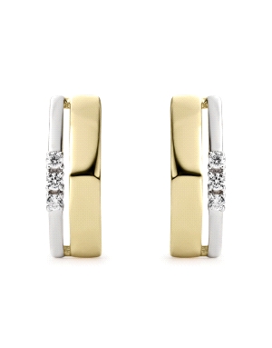 PENDIENTES BICOLOR CIRCONITAS PALILLO EN L                                                          